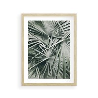 Plakat w ramie 50x70 - Palmy w Zgaszonej Zieleni - palmy, tropikalne liście - rama drewno