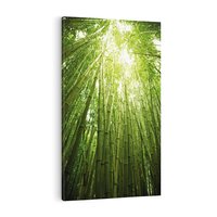 Obraz na płótnie 80x120 - Siła Natury - drzewa, las