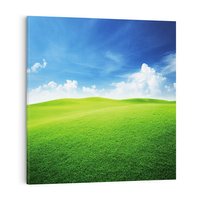 Obraz na płótnie 80x80 - Łąka pod Niebem - łąka, niebo