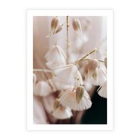 Plakat bez ramy 50x70 - Suszona Delikatność - suszone kwiaty, rośliny