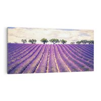 Obraz na płótnie 100x50 - Uroda Lawendy: Kwiatowy Cud Natury - lawenda, kwiaty