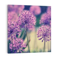 Obraz na płótnie 40x40 - Kwiatowa łąka w pełnym rozkwicie - kwiaty, łąka