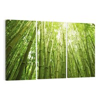 Obraz na płótnie 120x80 - Siła Natury - drzewa, las