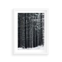 Plakat w ramie 30x40 - Leśna Cisza: Malowniczy Pejzaż Zimą - las zimą, ośnieżone pnie drzew - rama biała