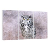 Obraz na płótnie 120x80 - Sztuka abstrakcyjna: Pies - sowa, sztuka