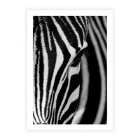 Plakat bez ramy 21x30 - Pasy Zebr - zebra, paski