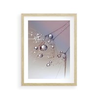Plakat w ramie 50x70 - Delikatne Natchnienie - krople, dmuchawce - rama drewno