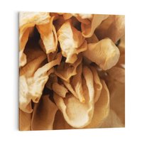 Obraz na płótnie 60x60 - Zjawiskowe zasuszone kwiaty - zasuszone, kwiaty