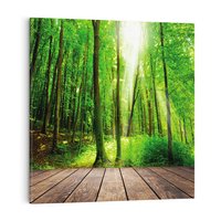 Obraz na płótnie 40x40 - Spacer po urokliwej dróżce w lesie - las, dróżka