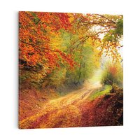 Obraz na płótnie 50x50 - Jesienny urok magia lasu - las, jesień