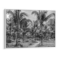 Obraz w ramie 70x50 - Mroczna Ścieżka Tropików - czarno biała fotografia, ścieżka pośród palm - rama biała