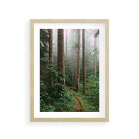 Plakat w ramie 50x70 - Mgliste Marzenia - artystyczna fotografia, las - rama drewno