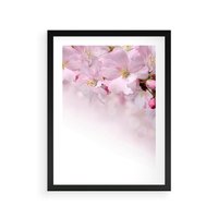 Plakat w ramie 50x70 - Kwitnąca Wiśnia - kwiaty, kwitnącej - rama czarna