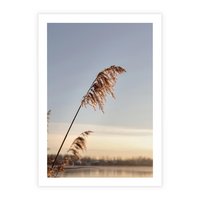 Plakat bez ramy 30x40 - Naturalna Delikatność - trawy, boho