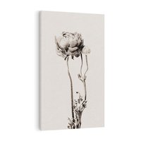 Obraz na płótnie 80x120 - Cień Kwiatowej Delikatności - kwiat, cień