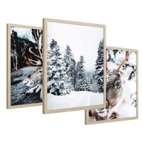Zestaw obrazy w ramie 40x50 galeria - Renifer, zima, las, pejzaż, natura - rama drewno