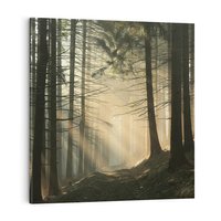 Obraz na płótnie 70x70 - Urok lasu: drzewa w pełnej okazałości - las, drzewa