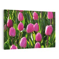 Obraz na płótnie 70x50 - Tulipanowa harmonia - tulipany, kwiaty