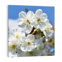 Obraz na płótnie 80x80 - Kwiatowa harmonia natury - kwiat, kwiaty