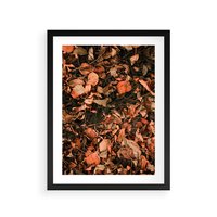 Plakat w ramie 50x70 - Jesienny Splot: Pomarańczowe Liście - liście, pomarańczowe suche liście - rama czarna