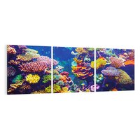 Obraz na płótnie 120x40 - Podwodne Zaczarowanie - kolorowa rafa koralowa, ukwiały