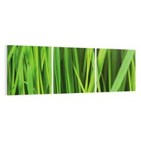 Obraz na płótnie 150x50 - Trawa w abstrakcji: natura przekształcona - trawa, abstrakcja