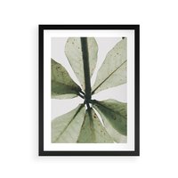 Plakat w ramie 50x70 - Jasna Zieleń w Makro - makro zdjęcie liści, jasna zieleń - rama czarna