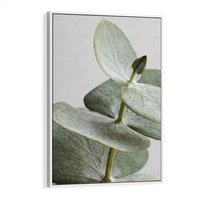 Obraz w ramie 80x120 - Eukaliptusowa zieleń - eukaliptus, zielone - rama biała