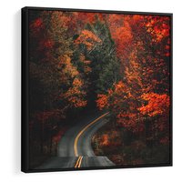 Obraz w ramie 50x50 - Jesienne Podróżowanie - fotografia, jesień - rama czarna