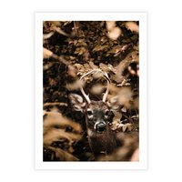 Plakat bez ramy 21x30 - Jesienny Jeleń w Lesie - jeleń, w lesie