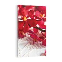 Obraz na płótnie 80x120 - Delikatność Kwiatowej Elegancji - orchidea, kwiat