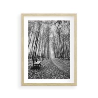 Plakat w ramie 50x70 - Spadające Liście - czarno białe zdjecie, park - rama drewno
