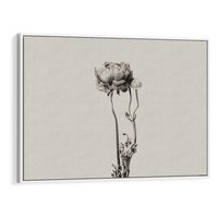 Obraz w ramie 120x80 - Cień Kwiatowej Delikatności - kwiat, cień - rama biała