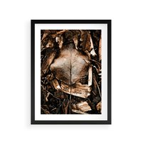 Plakat w ramie 30x40 - Samotny Liść - liść, brąz - rama czarna