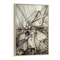 Obraz w ramie 70x100 - Lekkie dmuchawce - dmuchawce, krople - rama drewno