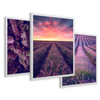 Zestaw obrazy w ramie 30x40 galeria - Wrzosy, lawenda, zachód, słońca - rama biała