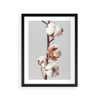 Plakat w ramie 50x70 - Spokojna Gałązka Bawełny - gałązka bawełny, prosta spokojna fotografia - rama czarna