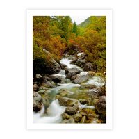 Plakat bez ramy 30x40 - Śpiew Strumienia - strumień, górski