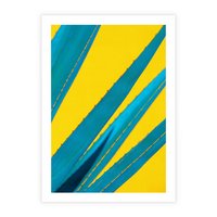 Plakat bez ramy 30x40 - Świeżość Natury - aloes, liście