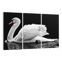 Obraz na płótnie 120x80 - Delikatne Uderzenie Skrzydeł Łabędzia - łabędź, ptak