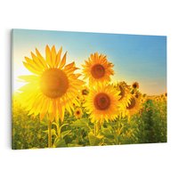 Obraz na płótnie 100x70 - kolorowe promienie - słoneczniki, kwiaty