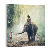 Obraz na płótnie 50x50 - Azja słońce wśród lasu - Azja, słoń