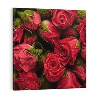 Obraz na płótnie 40x40 - Piękno róż: delikatność natury - róże, kwiaty