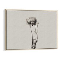 Obraz w ramie 120x80 - Cień Kwiatowej Delikatności - kwiat, cień - rama drewno