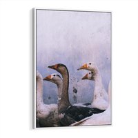 Obraz w ramie 80x120 - Spotkanie Wśród Piór - uchwycony moment, fotografia - rama biała