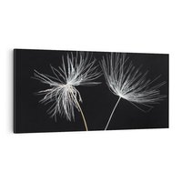 Obraz na płótnie 120x60 - Delikatność Wiatru - dmuchawce, makro