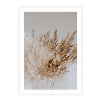 Plakat bez ramy 50x70 - Boho Urok Traw Pampasowych - suche trawy, pampas