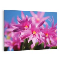 Obraz na płótnie 120x80 - Kwiatowy urok - kwiat, kwiaty