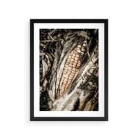 Plakat w ramie 30x40 - Kukurydza w Jesiennej Scenie - kukurydza, jesień - rama czarna