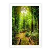 Plakat bez ramy 21x30 - Współistnienie z naturą - drzewa, las